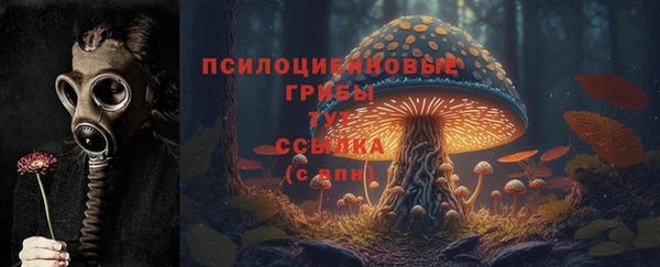 герыч Белокуриха